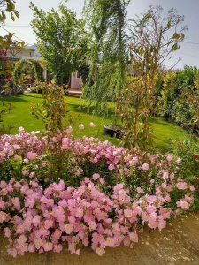 sklaverochori garden